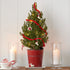24 piece set - Iconic Christmas Mini Tabletop Tree Set - in Hand Felted Wool - ARCADIA HOME